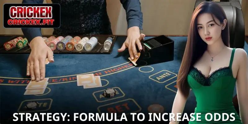 How to play card games from A to Z