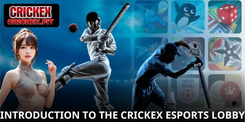 Introduction to the Crickex Esports Lobby
