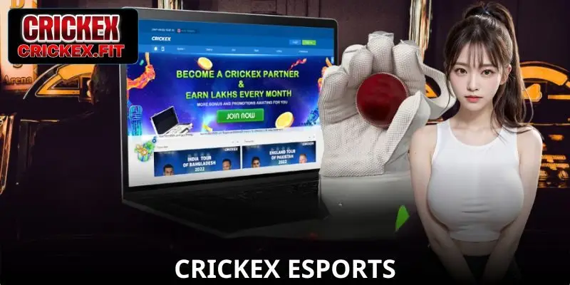 Crickex Esports