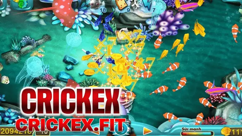 Fish Games Crickex: Discover Thrills IIn Bangladesh