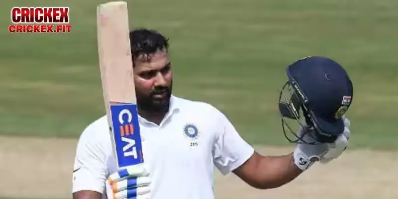 Focus on cricket expertise