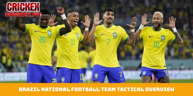 Brazil national football team World Cup analysis guide 1 Brazil national football team tactical overview