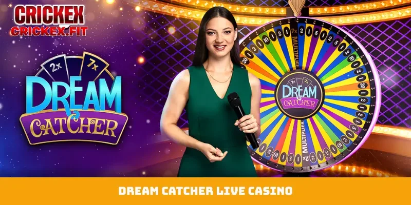 Dragon Tiger Live Casino