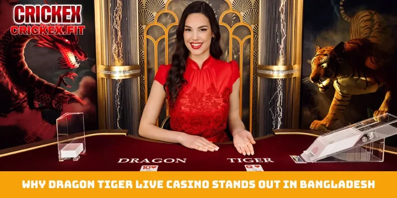 Dragon Tiger Live Casino 