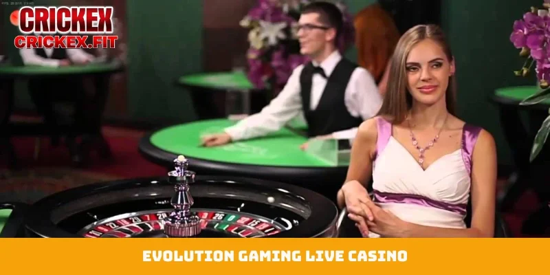 Evolution Gaming Live Casino