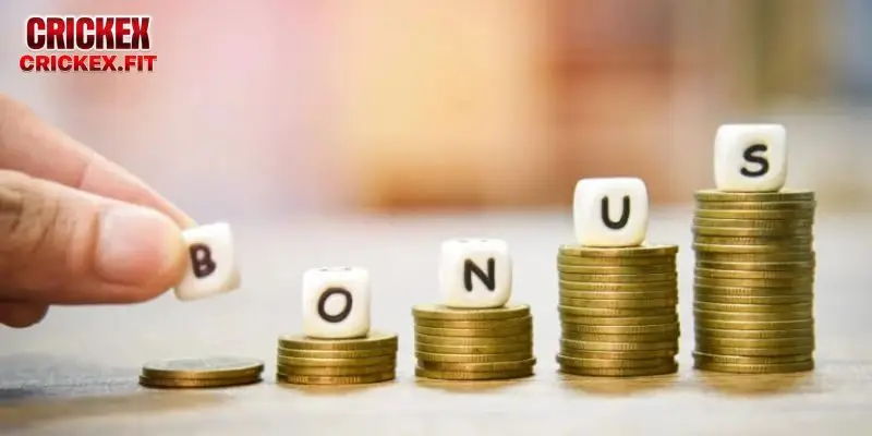 India Premier League Insights on Crickex 