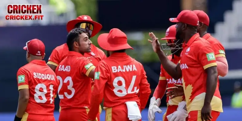 Netherlands Vs Canada Cricket Live Score and Updates 2 Interactive Features Enhancing Engagement In Netherlands Vs Canada Cricket