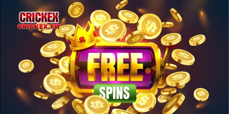 Exploring the No Deposit Bonus Casino: Experience With a Free Bonus Casino